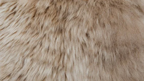 Brown Sheepskin Fur Texture Background — Stock Photo, Image