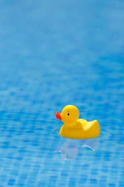 Sarı lastik ördek mavi yüzme havuzunda