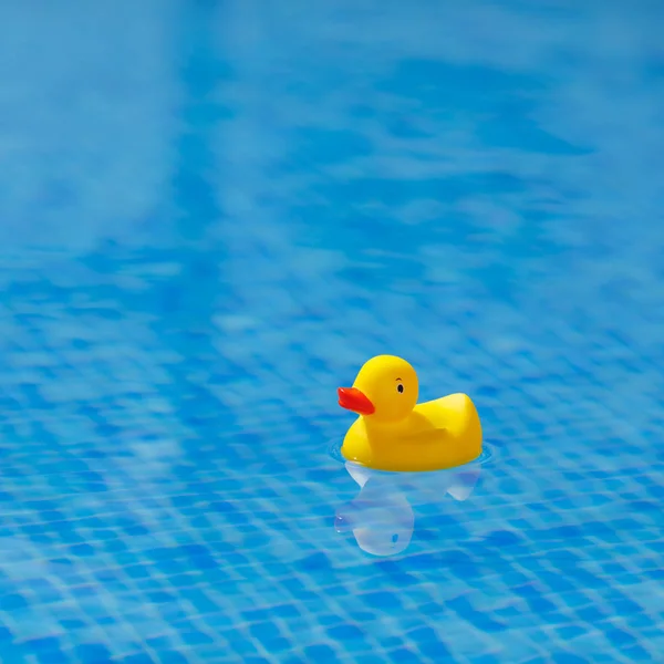 Žlutá gumová kachna v bazénu blue — Stock fotografie
