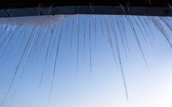 Icicles on blue sunset sky background — Stock Photo, Image