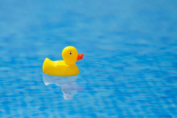 Pato de goma amarillo en la piscina azul —  Fotos de Stock