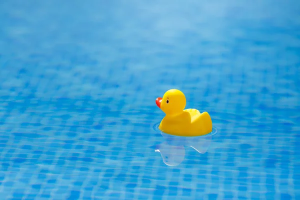 Gelbe Gummiente im blauen Schwimmbad — Stockfoto