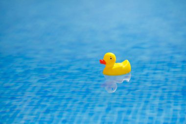 Sarı lastik ördek mavi yüzme havuzunda