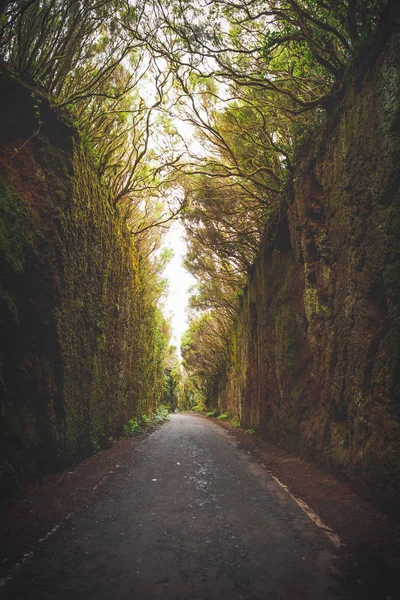 Mirador pico del ingles weg in anaga ländlichen park — Stockfoto