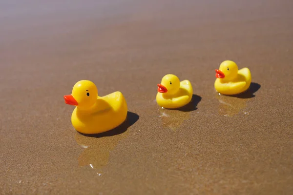 Patos de borracha amarela na praia — Fotografia de Stock