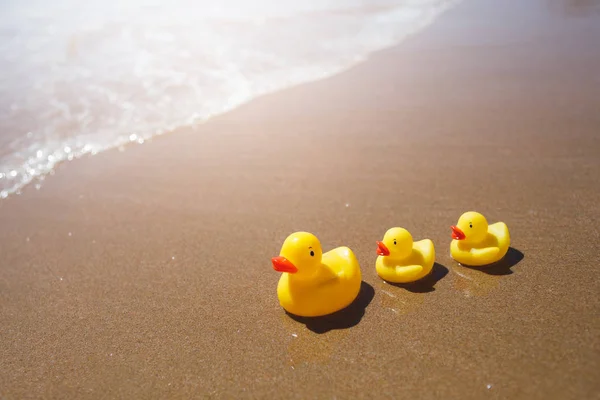 Yellow rubber ducks on the beach — Stock Photo, Image