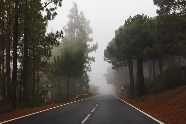 Strada di montagna con dense nuvole di nebbia — Foto Stock