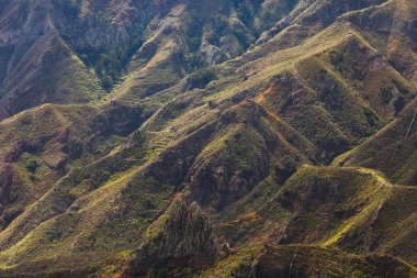 Dağlar Anaga kırsal Park, Tenerife