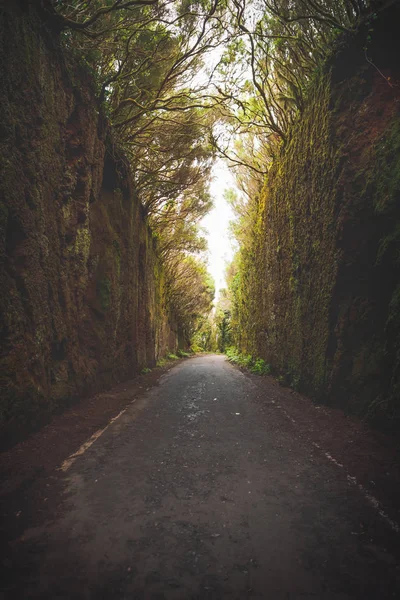 Mirador Pico del Ingles path in Anaga rural park — Stock Photo, Image