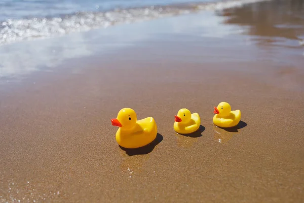 Patos de goma amarilla en la playa — Foto de Stock