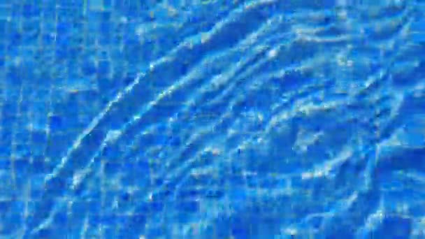 スイミングプールの水の波紋 青いタイルの背景 ループ対応 — ストック動画