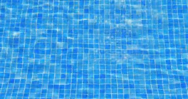 Ondulaciones Agua Piscina Fondo Azul Azulejo Bucle Listo — Vídeos de Stock