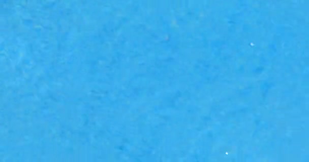 スイミングプールの水の波紋 青い背景 4Kループ対応 — ストック動画