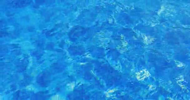 Yüzme Havuzunda Dalgalanmaları Mavi Arka Plan Döngü Hazır — Stok video