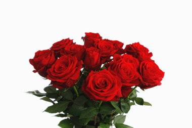 Beyaz arka planda kırmızı gül buket, on beş çiçekler