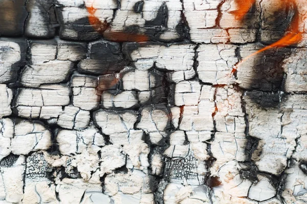 Verbrand houten log met as textuur — Stockfoto