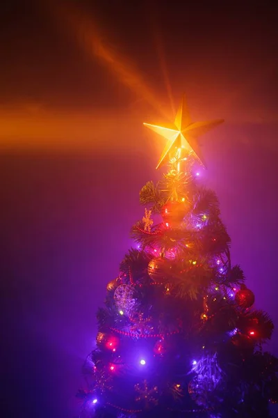 Kerstboom met feestelijke verlichting, paarse achtergrond met mist — Stockfoto