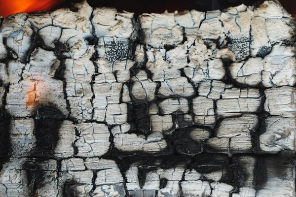 Сгоревшее дерево с текстурой золы — стоковое фото