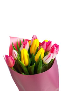 Lale çiçeği buketi, yakın çekim manzaralı, beyaz tenli.