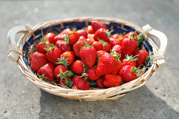 Strawberries Basket Gray Concrete Background — Stock Photo, Image
