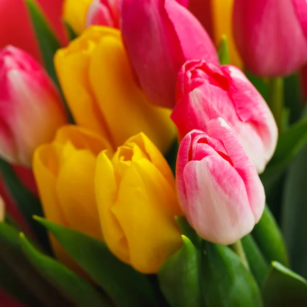 Tulp Bloemen Boeket Close Uitzicht Achtergrond — Stockfoto