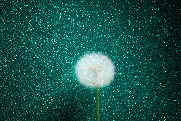 Dandelion Flower Emerald Glitter Background — Stock Photo, Image