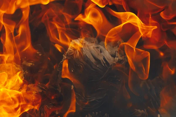 Пылающим Огнем Языками — стоковое фото