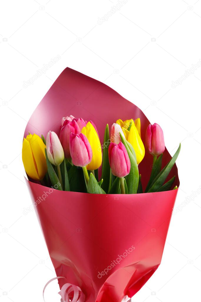 tulip flowers bouquet, close-up view, isolated on white