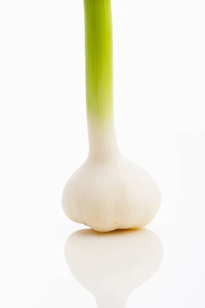 Fresh Garlic White Background Close View — Stock Photo, Image