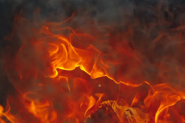 Blazing Fire Background Tongues Flame — Stock Photo, Image