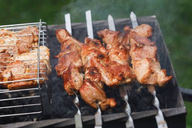 Brazier 'da ızgara et, duman, yeşil çimen arka planda