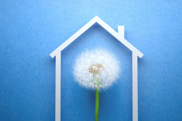 Цветок Одуванчика Крышей Дома Концепция Безопасности Синий Фон — стоковое фото