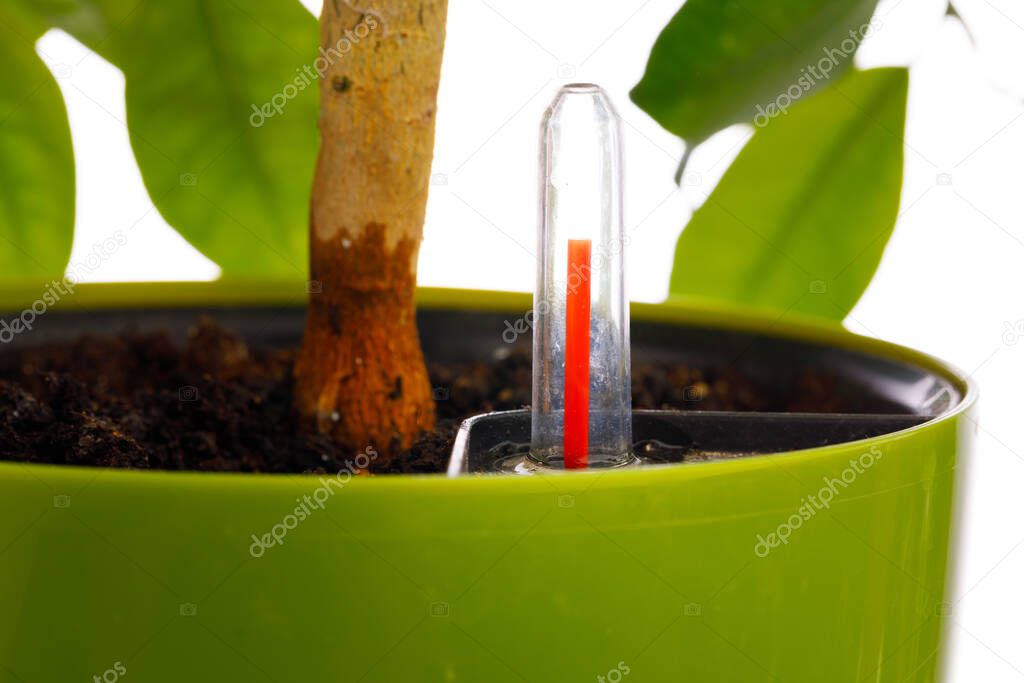 red indicator of self watering planter pot, close-up view