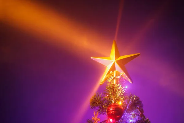 圣诞树 灯火通明 紫色背景 — 图库照片