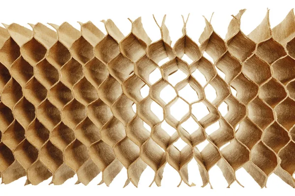 Honeycomb Cells Cardboard Stiffening Rib Background — Stock Photo, Image