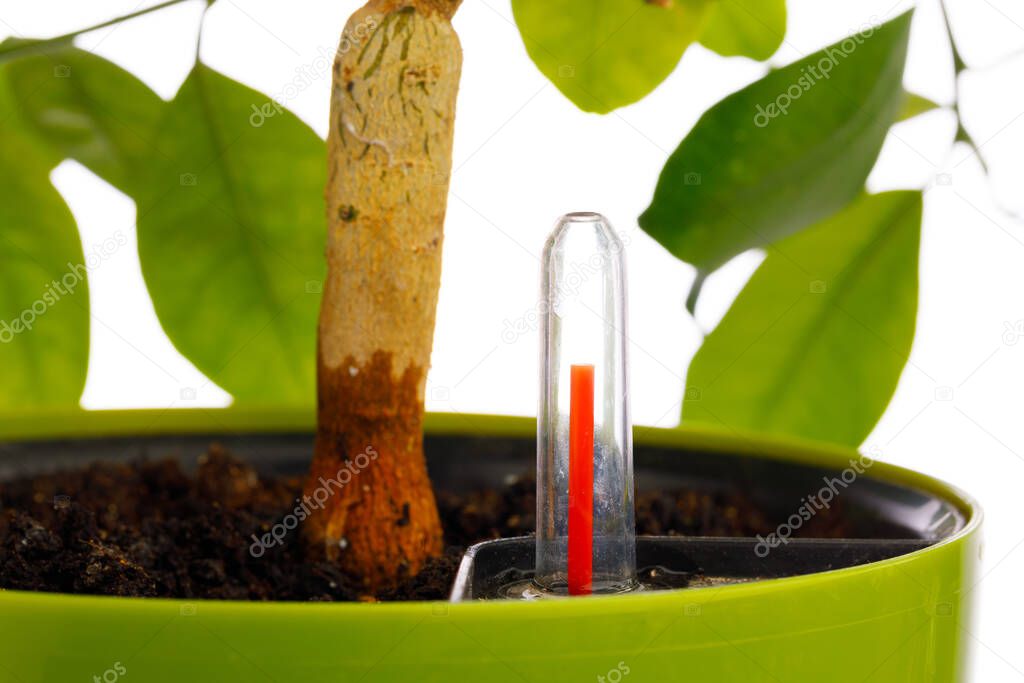 red indicator of self watering planter pot, close-up view