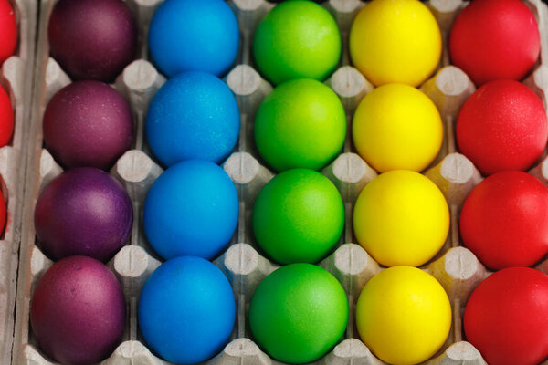 Easter festive multicolor eggs carton, close-up view