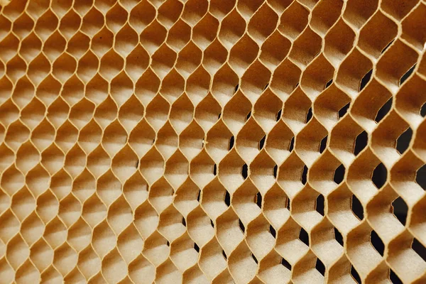 Kaburgaları Sertleştiren Kartondan Bal Peteği Hücreleri — Stok fotoğraf