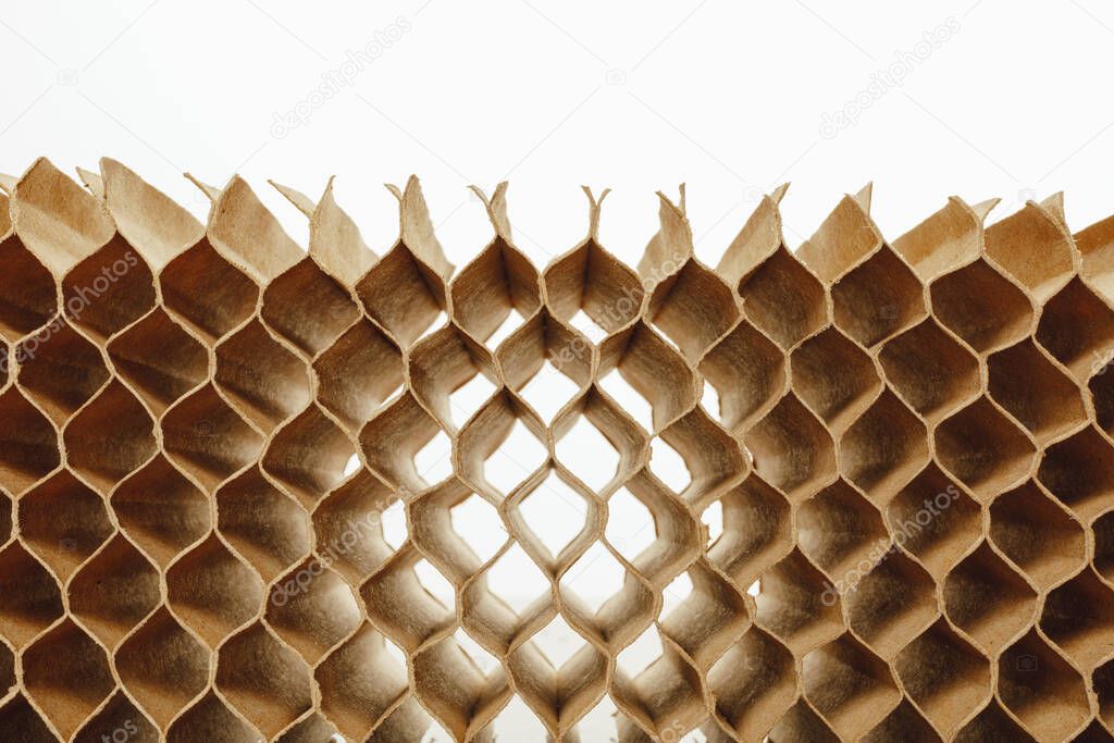 honeycomb cells of cardboard stiffening rib background