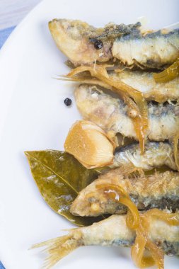 Marine İspanyolca sardalya balık korumak için bir yol stil