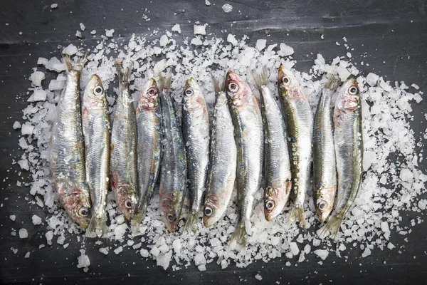 在石板背景上的粗盐层上的新鲜沙丁鱼或沙丁鱼 — 图库照片