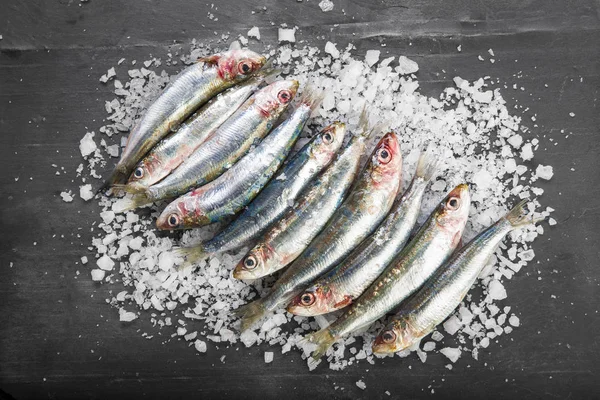 Sardine Fresche Sardine Uno Strato Sale Grossolano Fondo Ardesia — Foto Stock