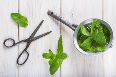 Taze nane yaprakları eski bir bulaşıklık ve makas
