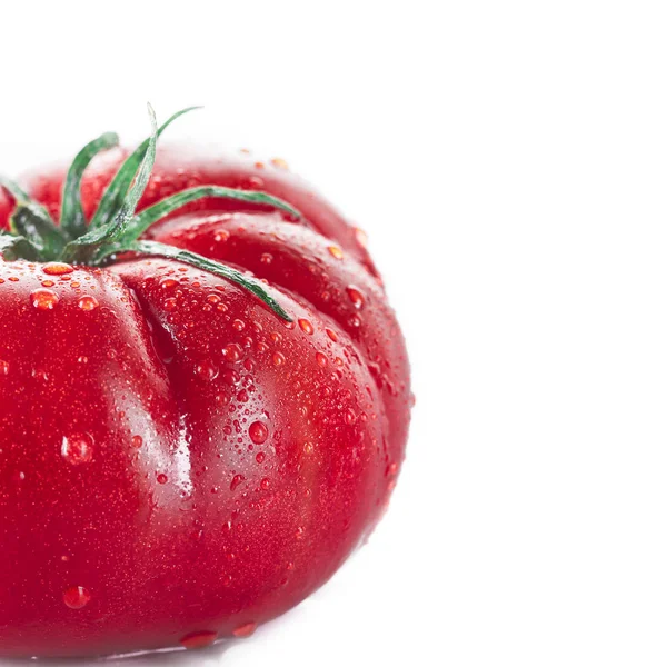 Frische Tomate Mit Tautropfen Isoliert Auf Weißem Hintergrund — Stockfoto