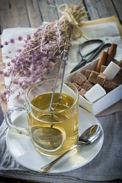 Mentha Pulegium Vagy Pennyroyal Tea Készült Vad Plats — Stock Fotó