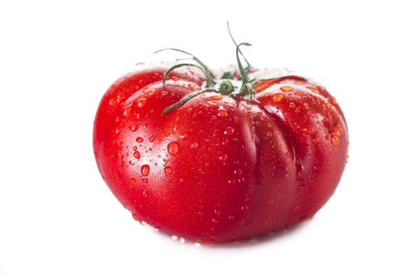 Färsk Tomat Med Daggdroppar Isolerad Vit Bakgrund — Stockfoto