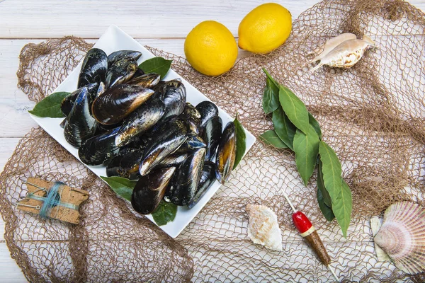 Fresh Alive Mussels Cooking Cleaned Ready Steamed — Stock Photo, Image
