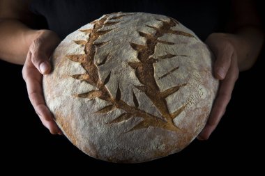 Hands holding a homemade loaf of bread over a dark background clipart