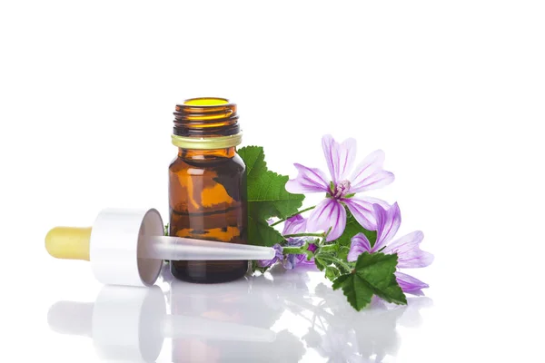 Dropper Bottle Mallow Malva Extract Essential Oil Isolated White Background — Stock Photo, Image