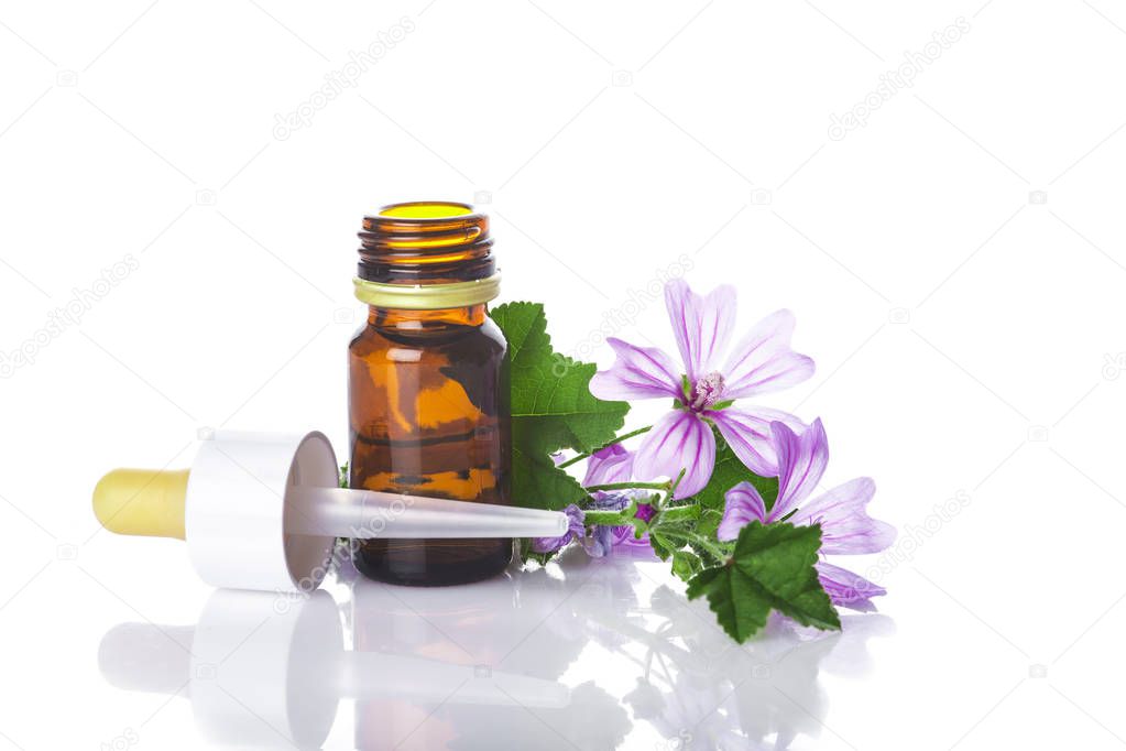 Dropper bottle with mallow malva extract or essential oil isolated on a white background